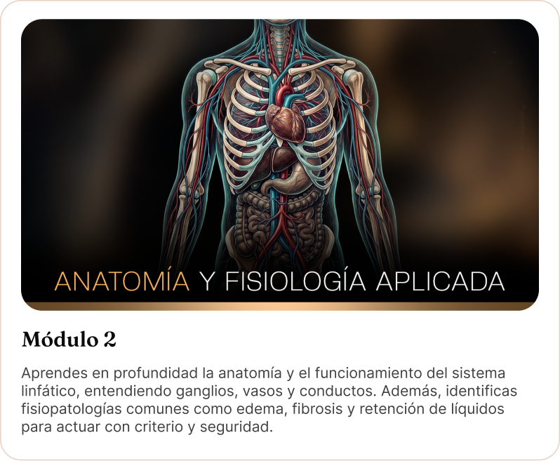 2_1_5x-4.webp