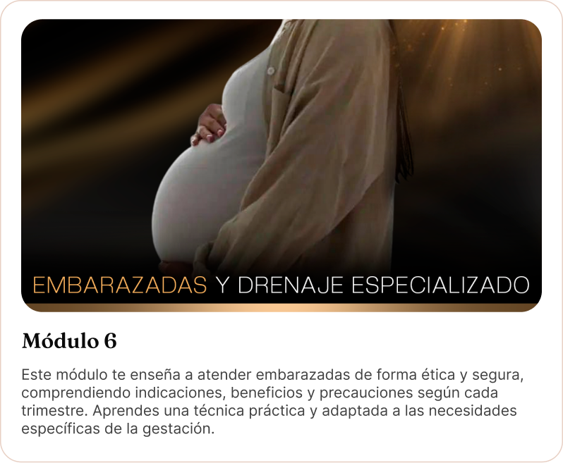 6_1_5x-2.webp